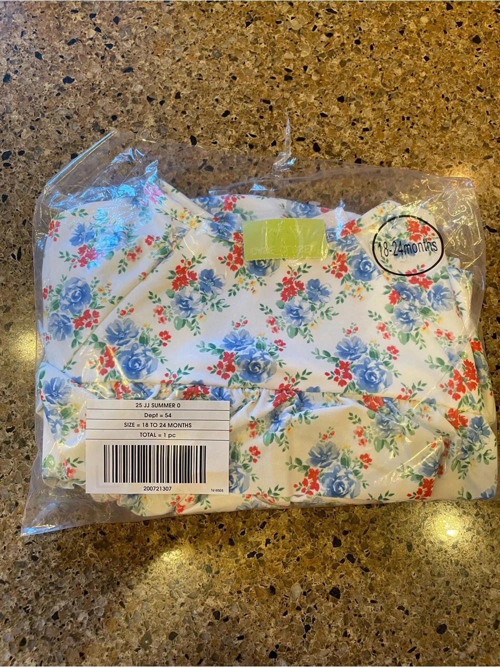 Janie and Jack Cream Floral 2 pieceRuffle Swim with Blue & Red Flowers